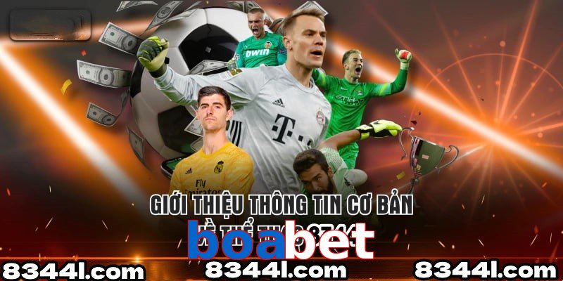 Giới Thiệu Thông Tin Cơ Bản Về Chuyên Mục Thể Thao boabet